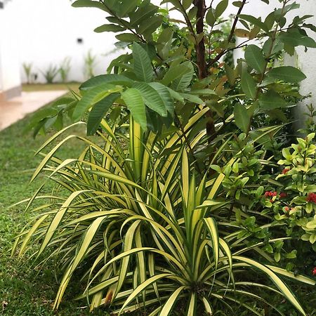 Luvi'S Villa كالي المظهر الخارجي الصورة