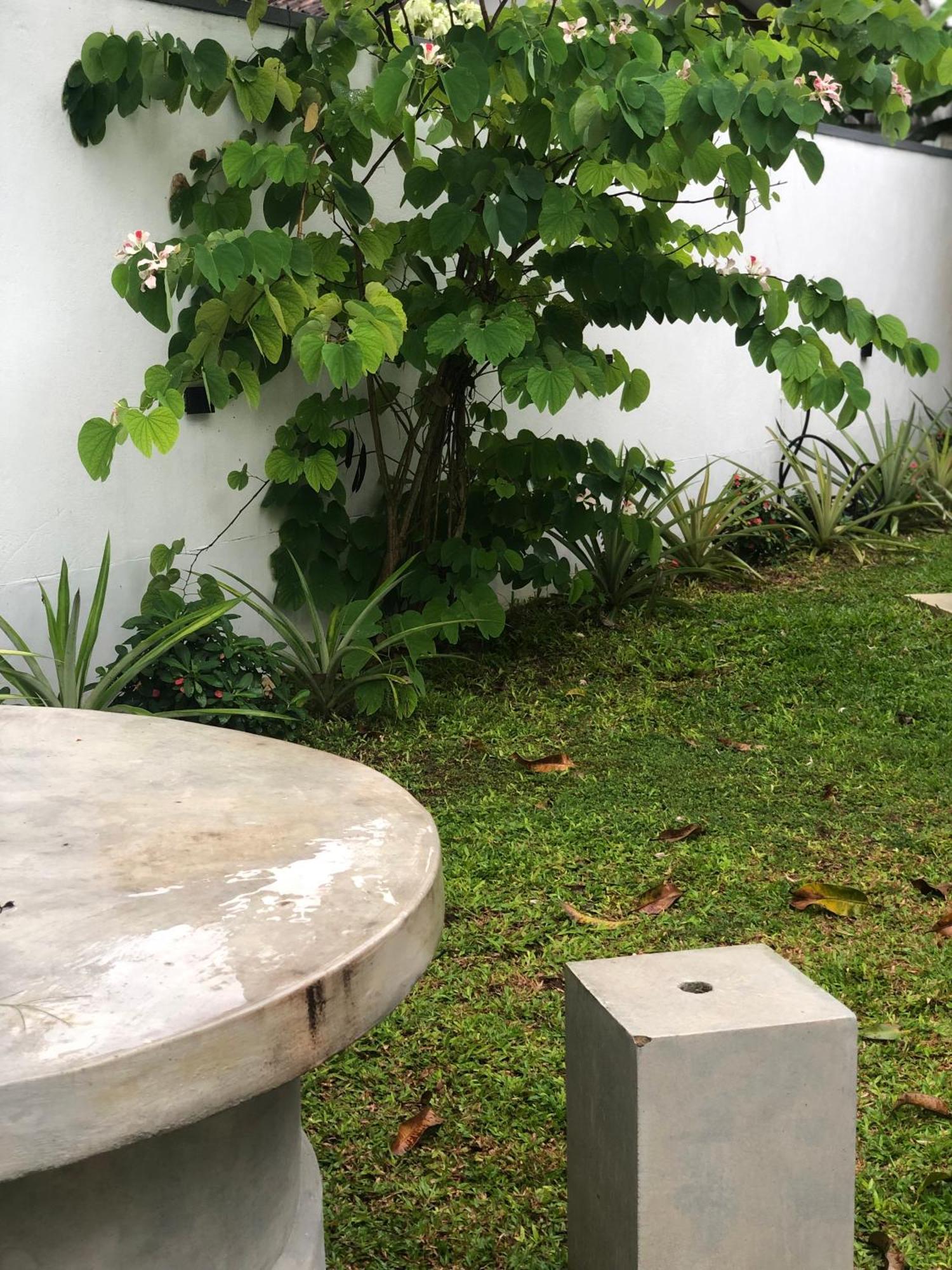 Luvi'S Villa كالي المظهر الخارجي الصورة