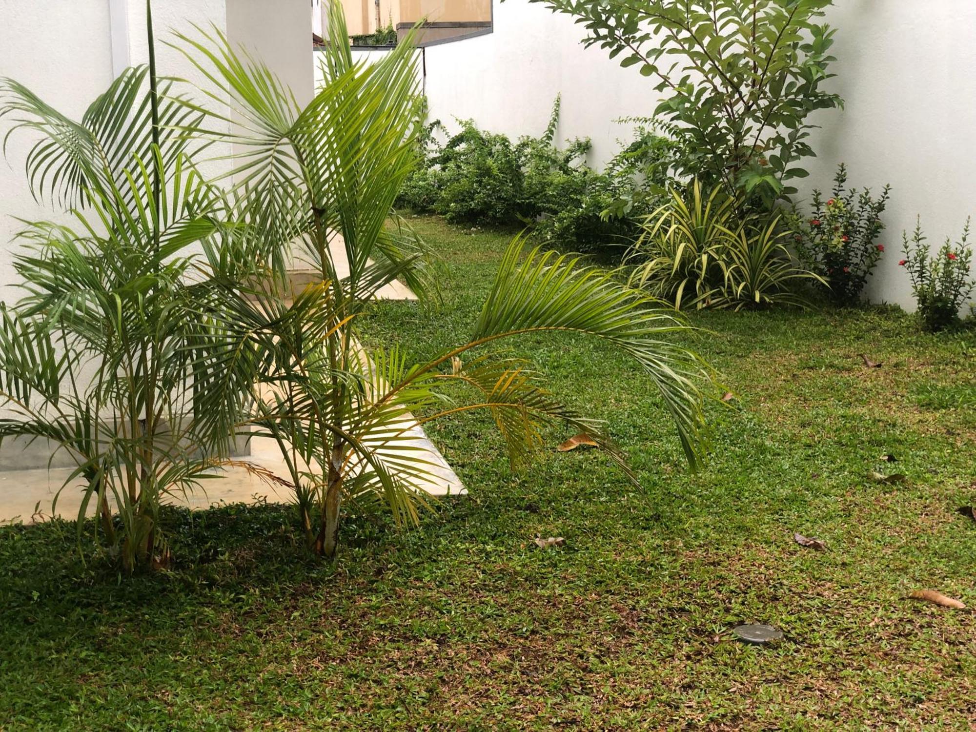 Luvi'S Villa كالي المظهر الخارجي الصورة