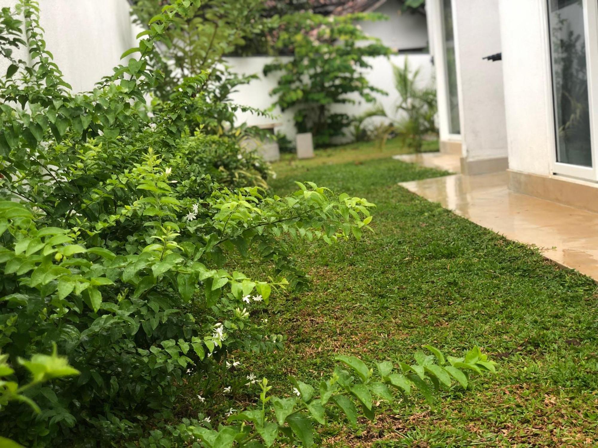 Luvi'S Villa كالي المظهر الخارجي الصورة