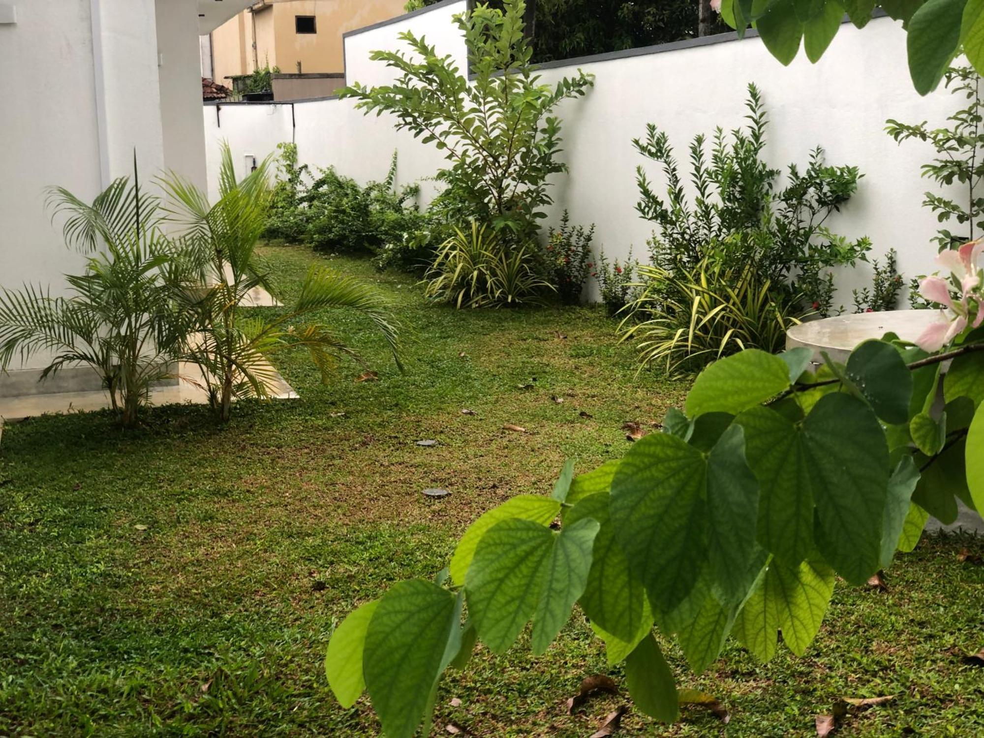 Luvi'S Villa كالي المظهر الخارجي الصورة