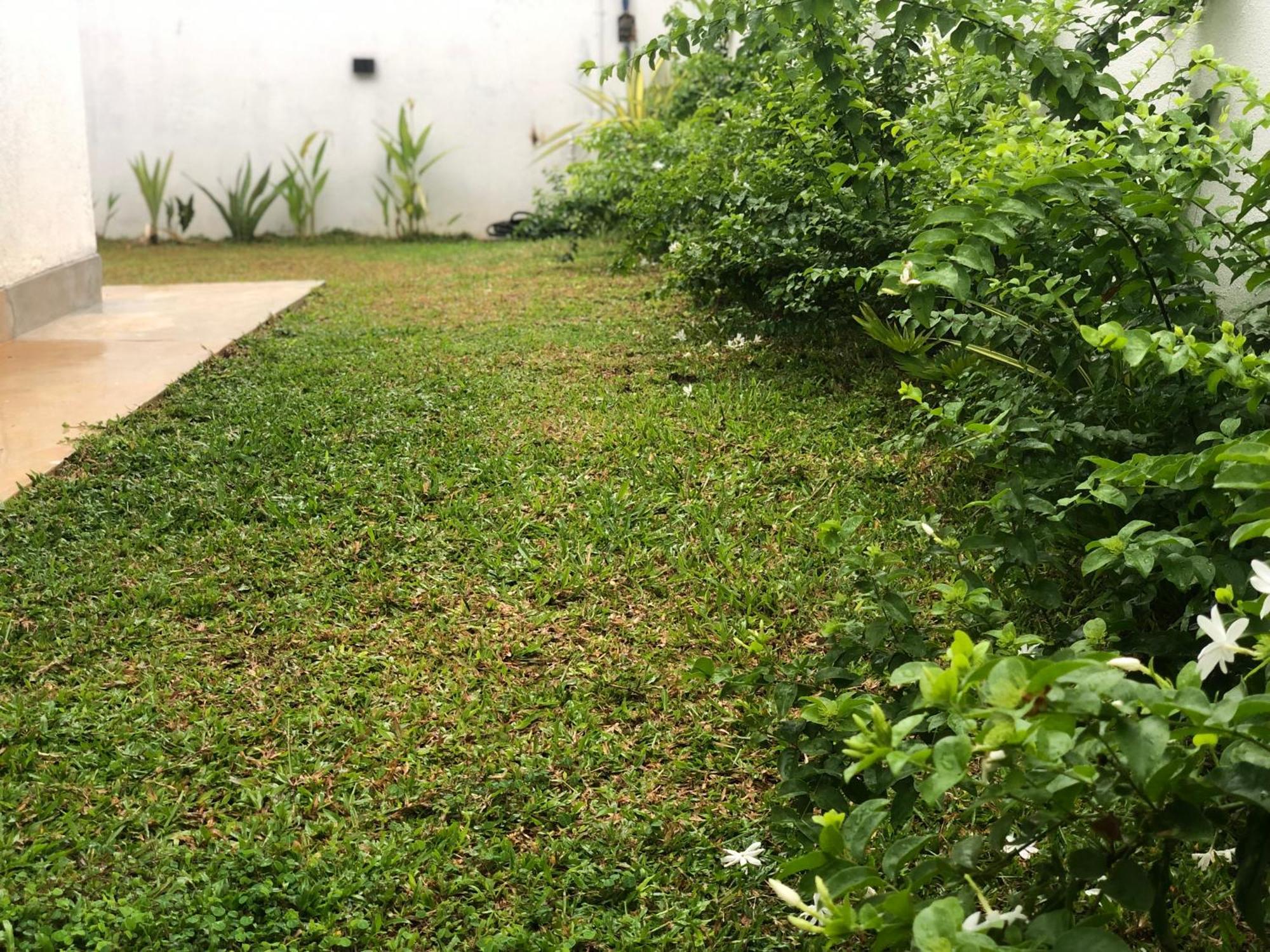 Luvi'S Villa كالي المظهر الخارجي الصورة